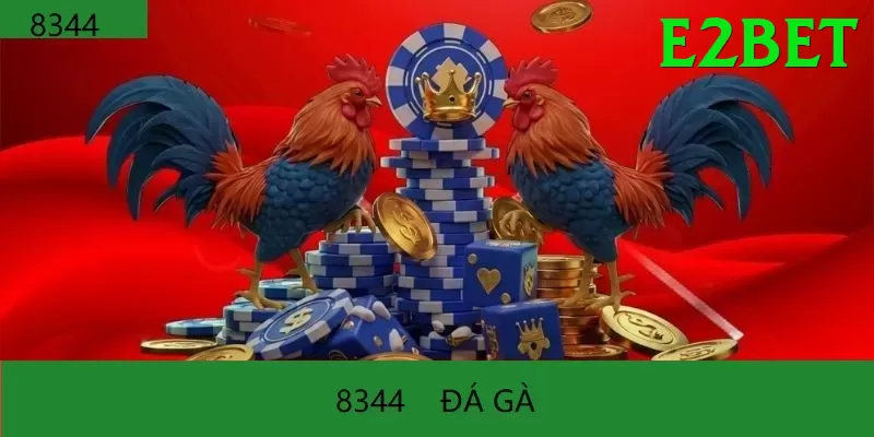Đá Gà Trực Tiếp - e2bet - Cài đặt